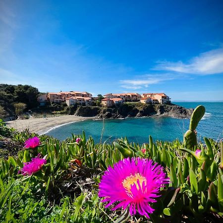 Chez Caro Apartment Port Vendres Bagian luar foto