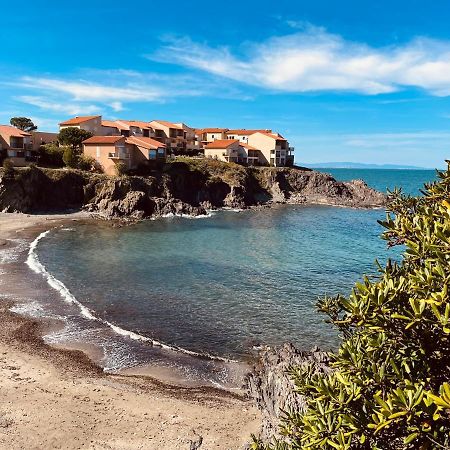 Chez Caro Apartment Port Vendres Bagian luar foto