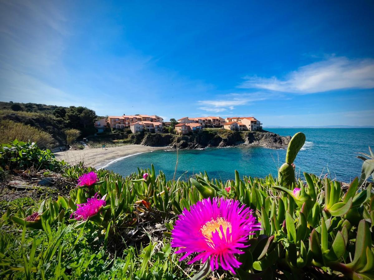 Chez Caro Apartment Port Vendres Bagian luar foto
